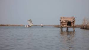 benin071421_original
